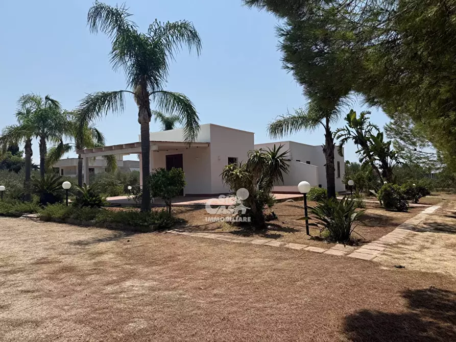 Immagine 14 di Terreno edificabile in vendita  a Marsala