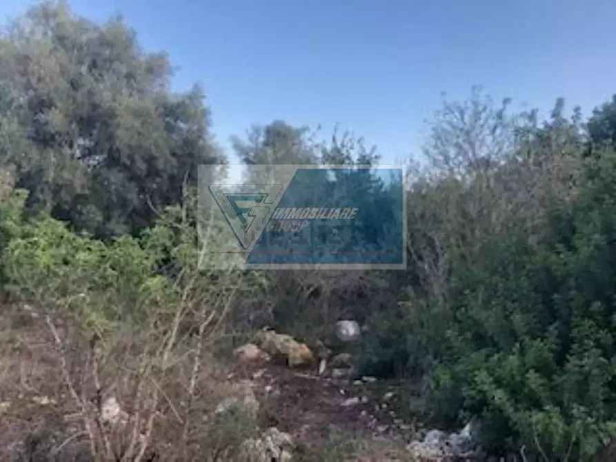 Immagine 4 di Terreno in vendita  in Via Brancati a Buccheri