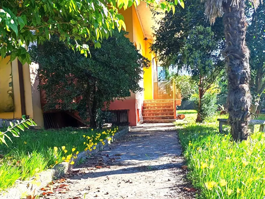 Immagine 8 di Terreno edificabile in vendita  a Vazzola