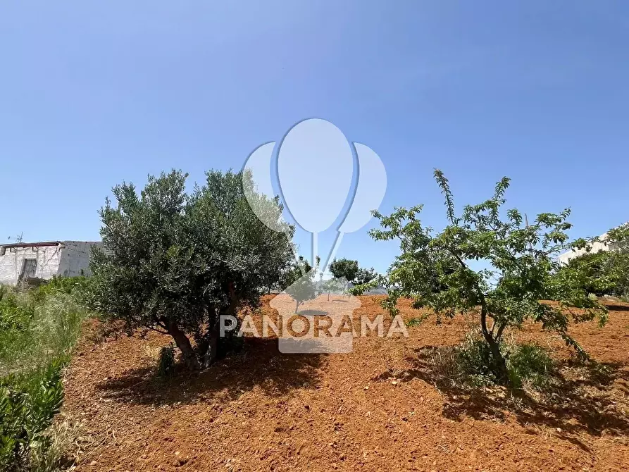 Immagine 24 di Terreno in vendita  in Contrada Vallone del Lupo a Alcamo