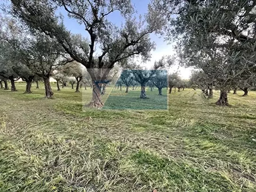 Immagine 8 di Terreno in vendita  in C.da  Carancino a Siracusa