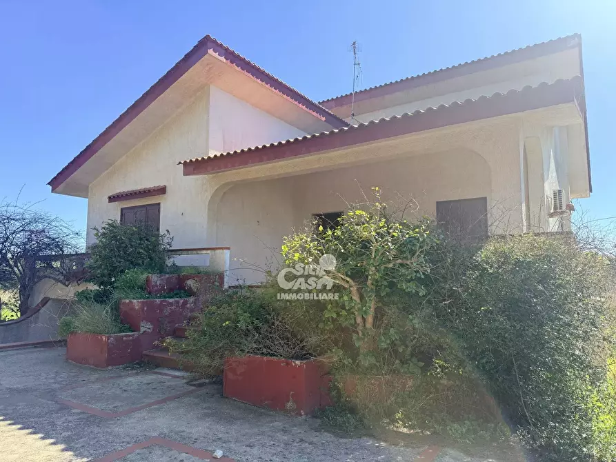 Immagine 3 di Terreno edificabile in affitto  a Marsala