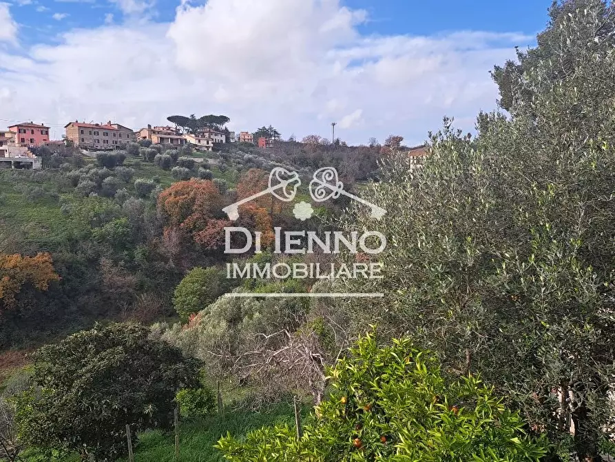 Immagine 19 di Casa trifamiliare in vendita  in Via Trento a Canale Monterano