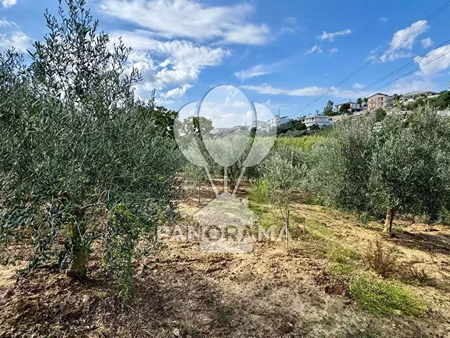 Immagine 16 di Terreno in vendita  in Contrada Timpi Rossi a Alcamo