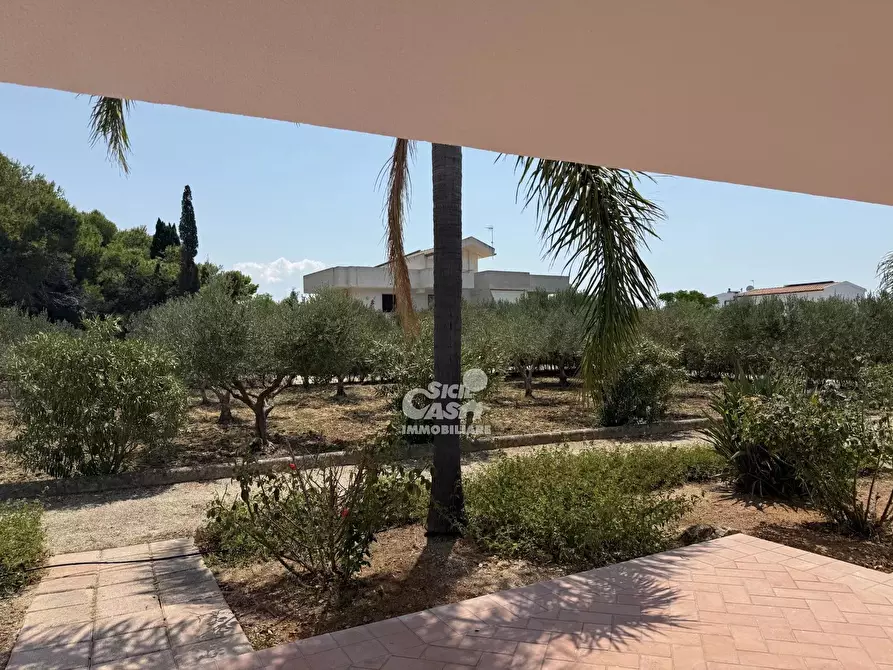 Immagine 53 di Terreno edificabile in vendita  a Marsala