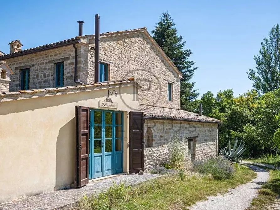 Immagine 18 di Terreno edificabile in vendita  in Serra San Quirico a Serra San Quirico
