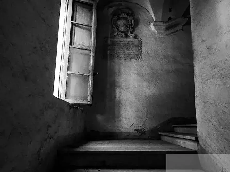 Immagine 11 di Terreno edificabile in vendita  a Ventimiglia