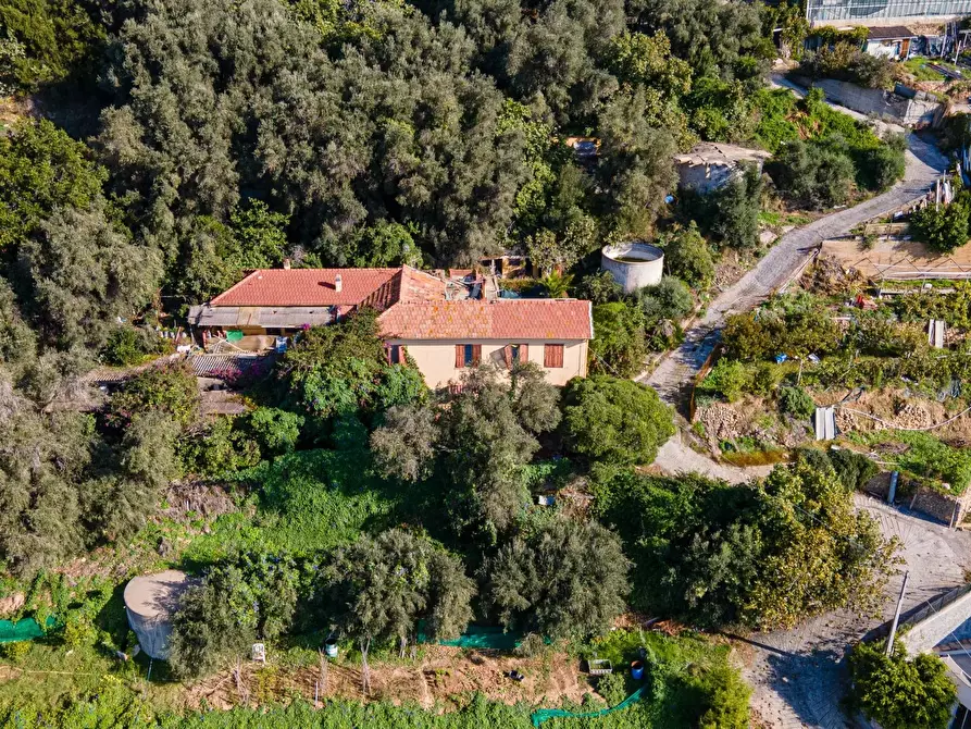 Immagine 1 di Terreno edificabile in vendita  in Via Degli Ulivi 20 a Ventimiglia