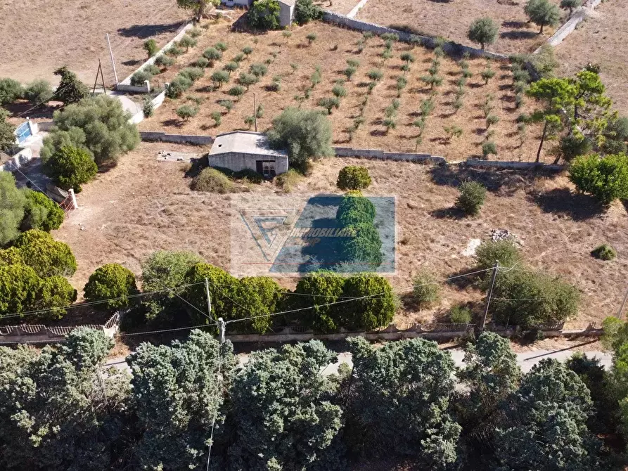 Immagine 16 di Terreno in vendita  a Avola