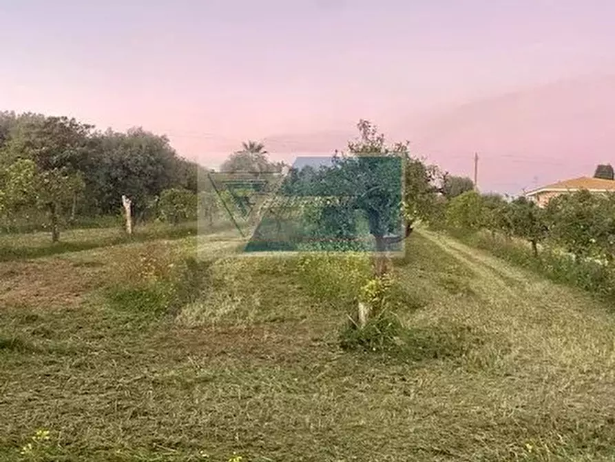 Immagine 3 di Casa bifamiliare in vendita  in C.da Carancino a Siracusa