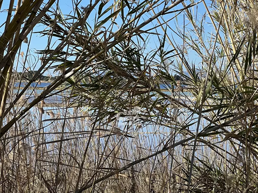 Immagine 12 di Terreno in vendita  a Marsala
