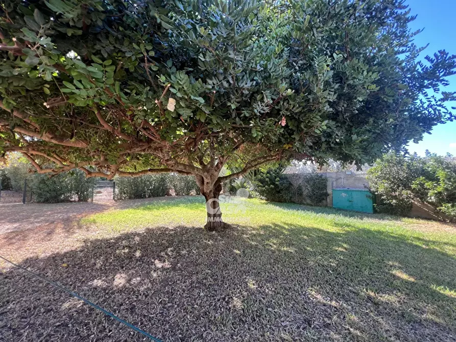 Immagine 18 di Terreno edificabile in vendita  a Marsala