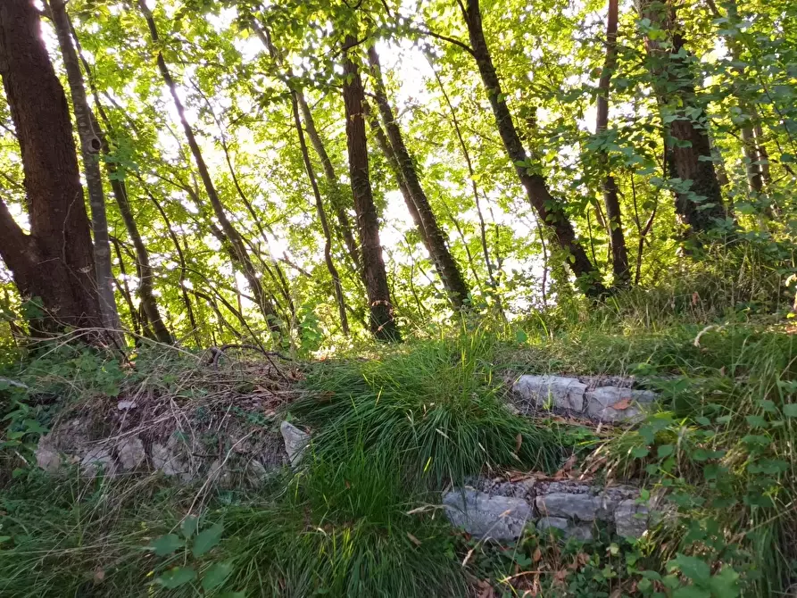 Immagine 29 di Terreno edificabile in vendita  a Sarmede