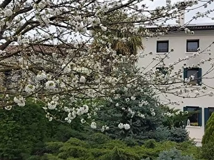 Immagine 3 di Terreno edificabile in vendita  a Codognè