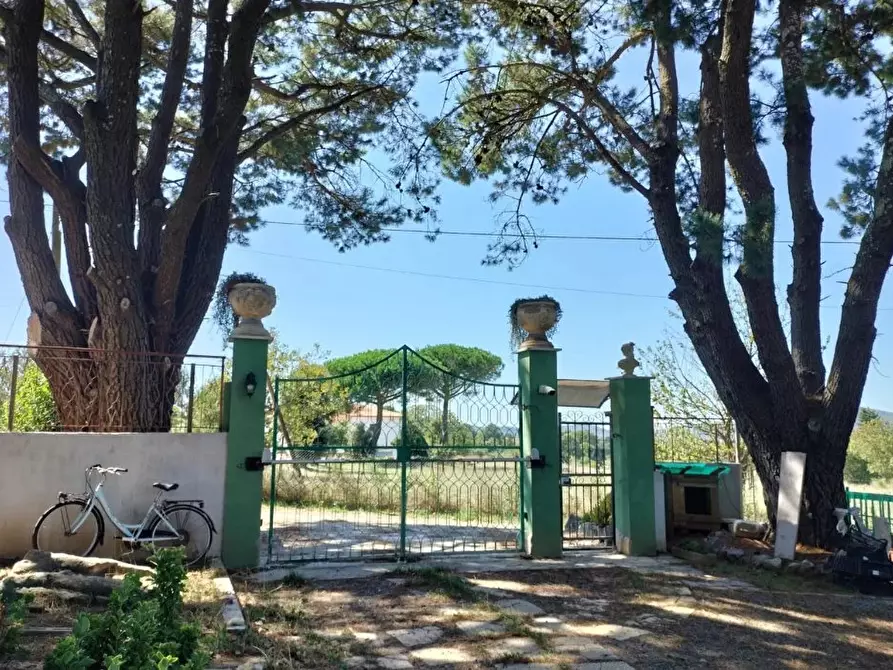 Immagine 64 di Terreno edificabile in vendita  in Strada Valle del Dragone a Arlena Di Castro