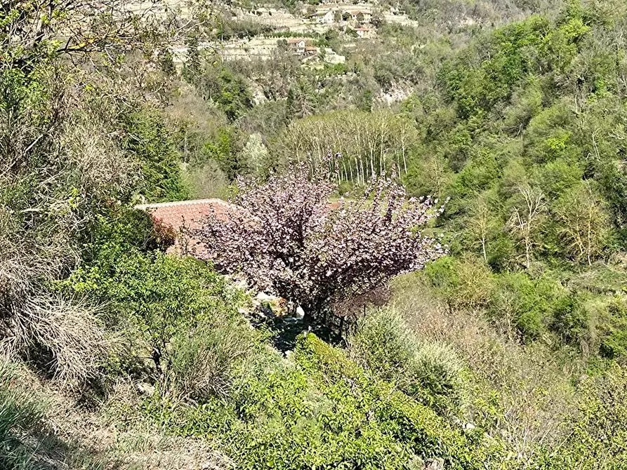 Immagine 25 di Terreno edificabile in vendita  a Bergolo