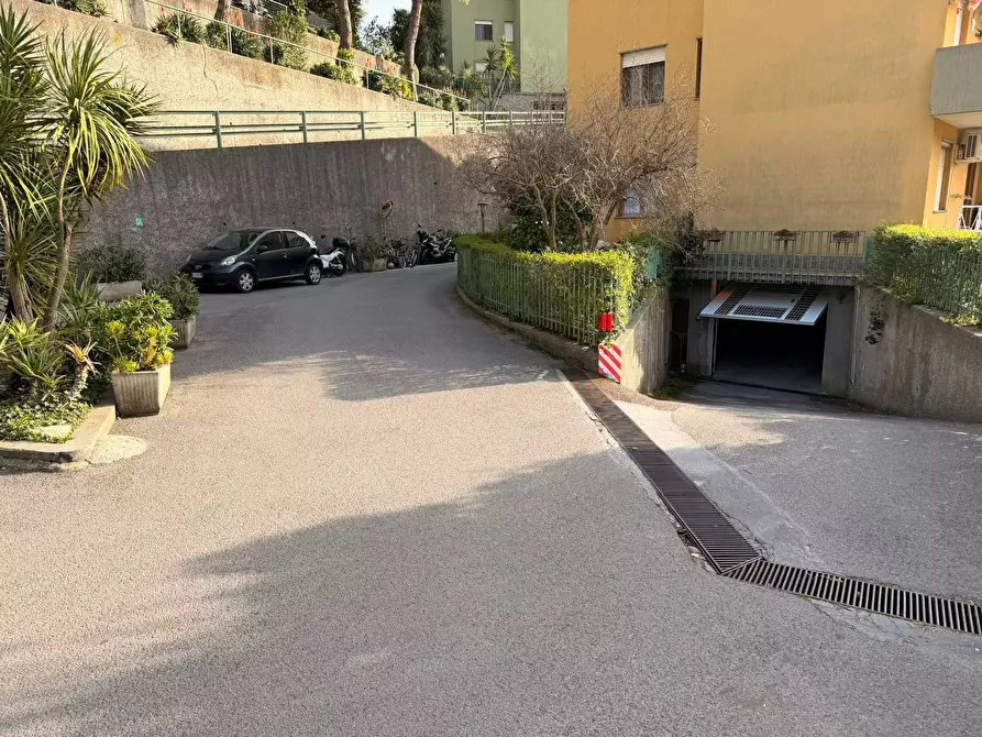 Immagine 5 di Appartamento in affitto  a Ventimiglia