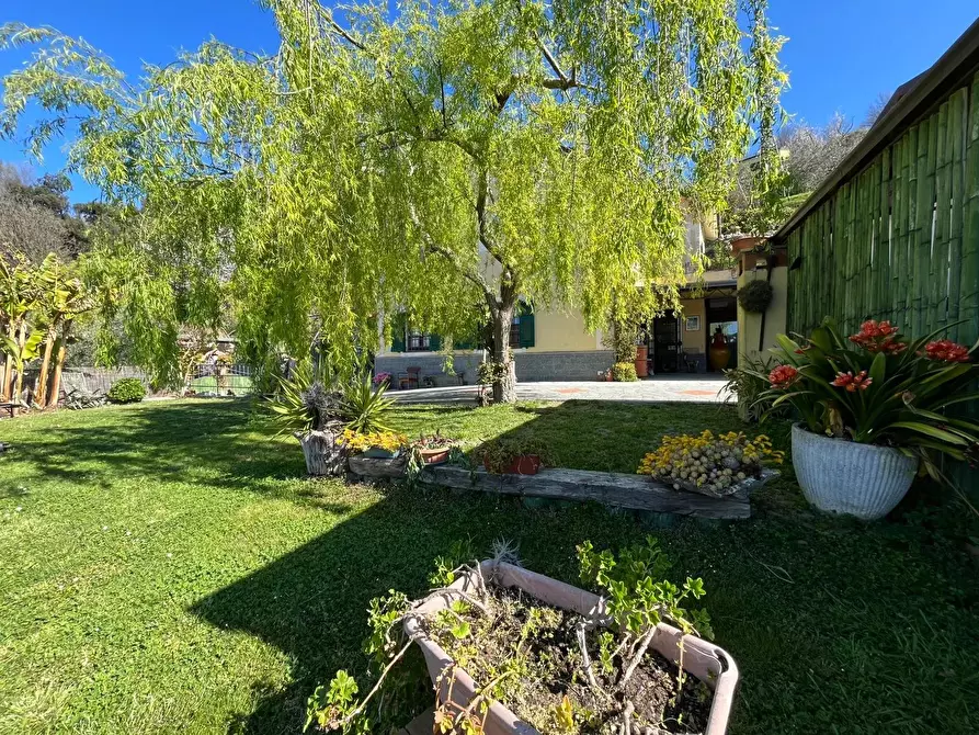 Immagine 2 di Terreno edificabile in vendita  a Coreglia Ligure