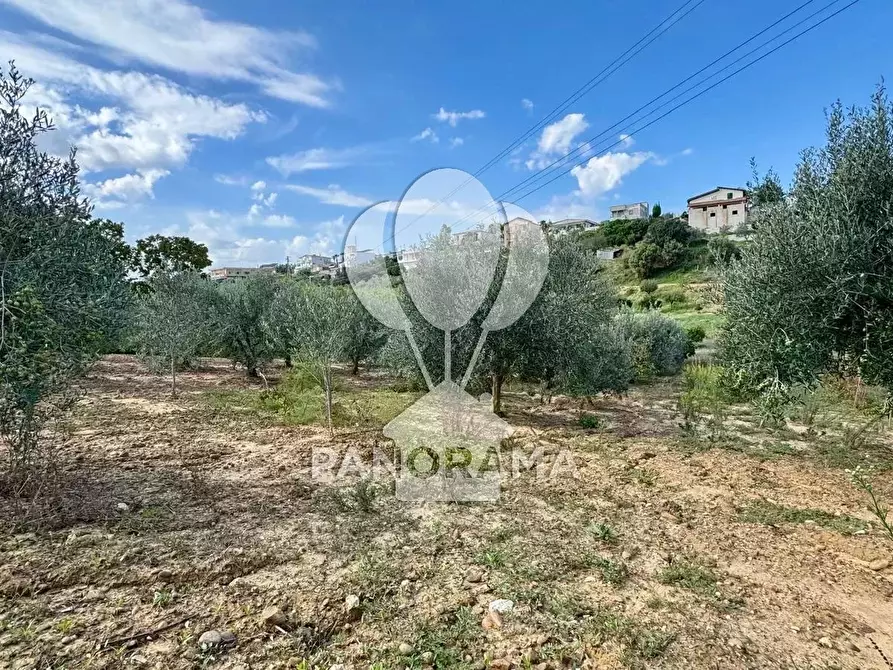 Immagine 9 di Terreno in vendita  in Contrada Timpi Rossi a Alcamo