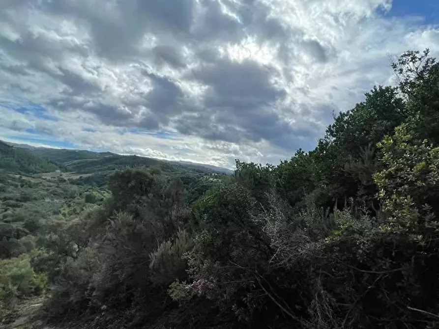 Immagine 4 di Terreno in vendita  a Bisignano