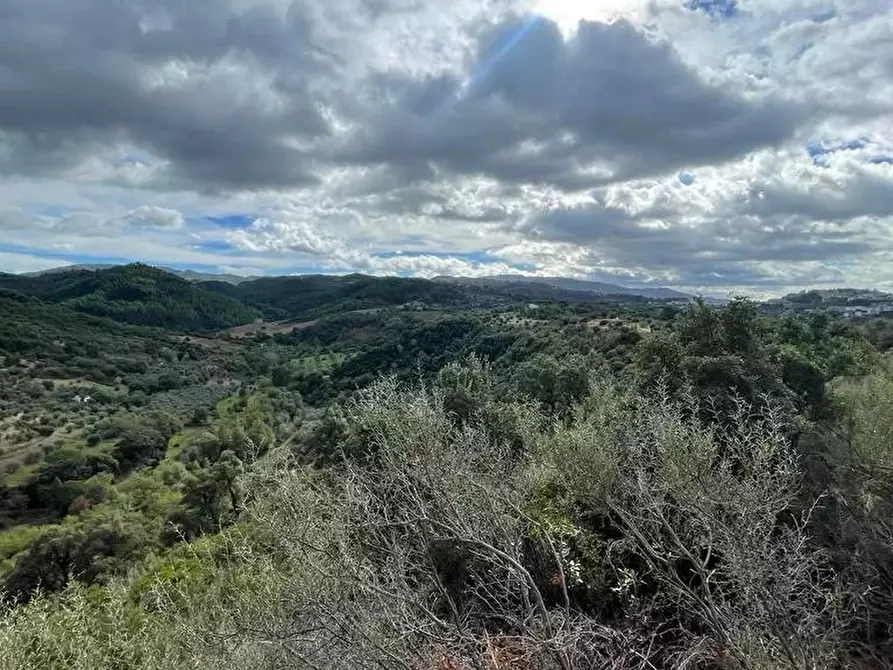 Immagine 3 di Terreno in vendita  a Bisignano