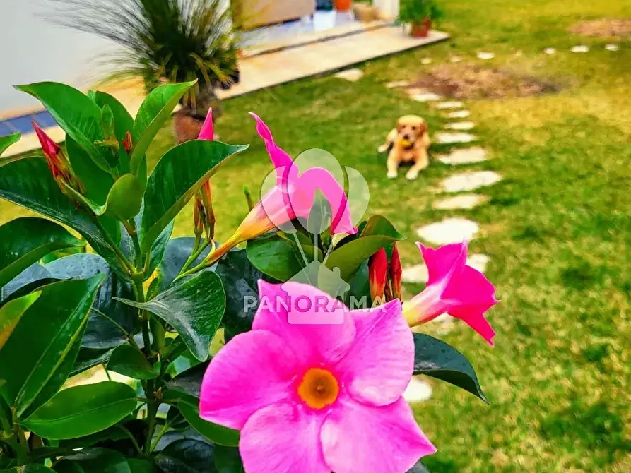 Immagine 25 di Terreno edificabile in vendita  in Costiera Occidentale Partenicense Balestrate a Balestrate