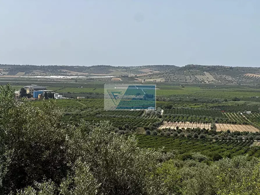 Immagine 2 di Terreno in vendita  a Noto