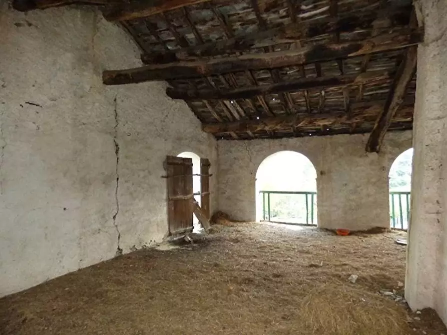 Immagine 19 di Terreno edificabile in vendita  a Pamparato