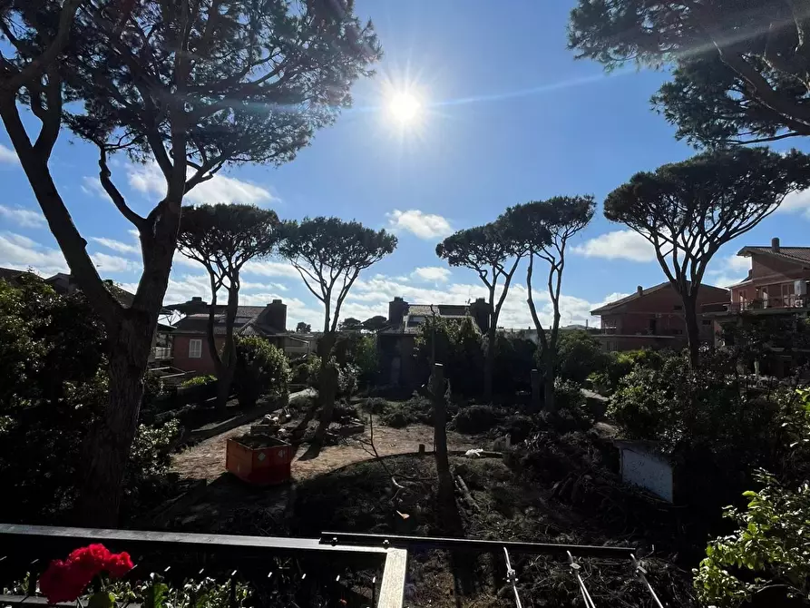 Immagine 9 di Terreno edificabile in vendita  in Viale Adriatico, 34 a Anzio