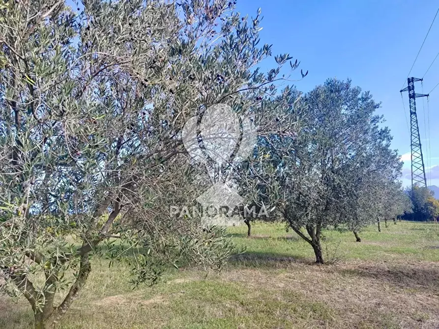 Immagine 27 di Terreno in vendita  in Contrada Manostalla a Balestrate