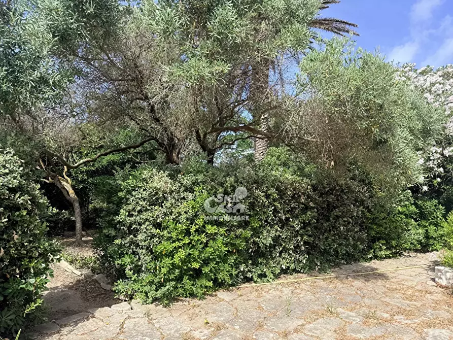 Immagine 34 di Terreno edificabile in vendita  a Marsala