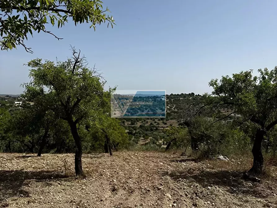 Immagine 6 di Terreno in vendita  a Noto
