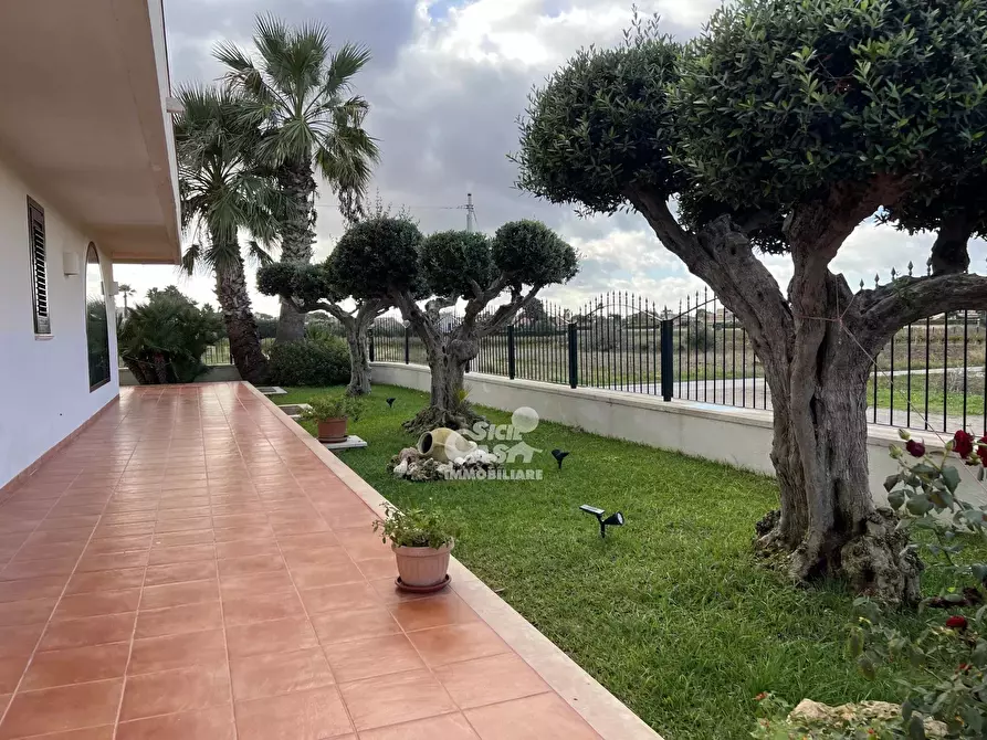 Immagine 3 di Terreno edificabile in vendita  a Marsala