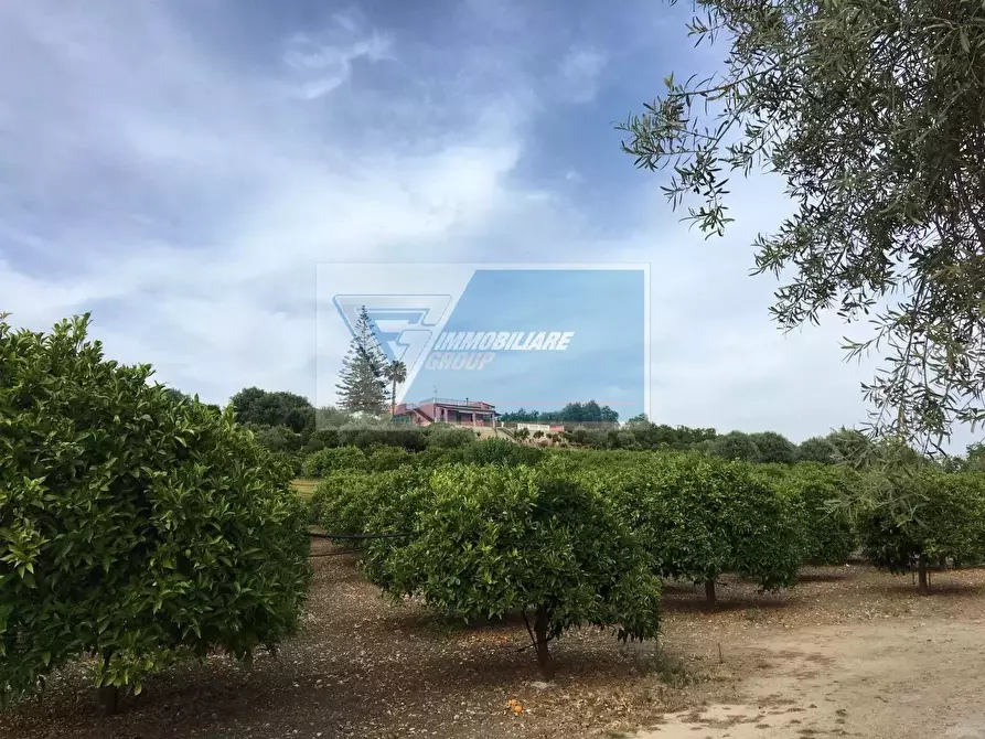 Immagine 5 di Terreno in vendita  a Siracusa