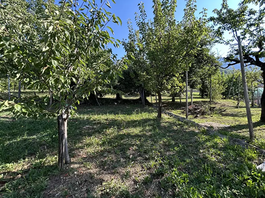 Immagine 51 di Terreno edificabile in vendita  a Cimadolmo