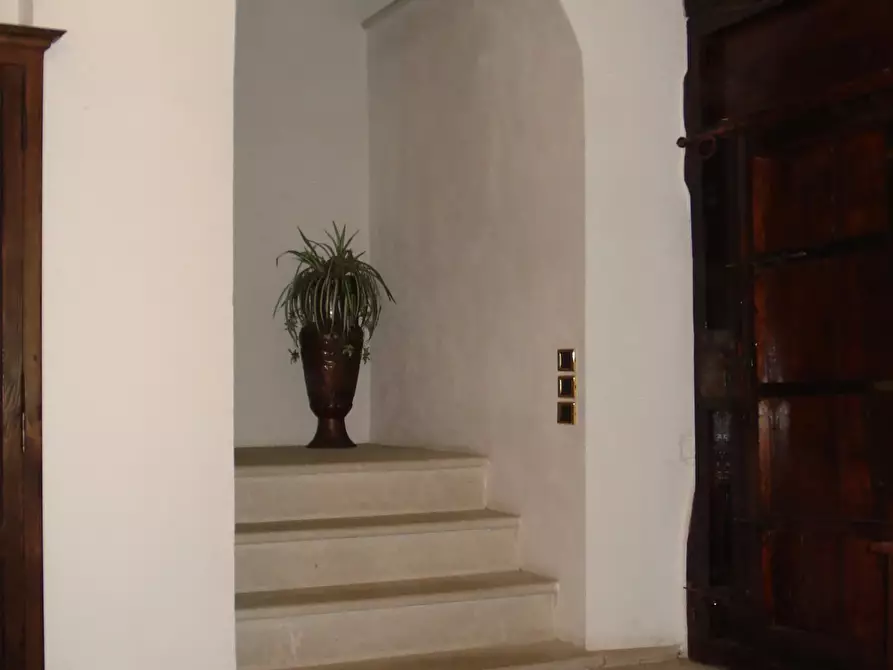 Immagine 12 di Terreno edificabile in vendita  a Altilia