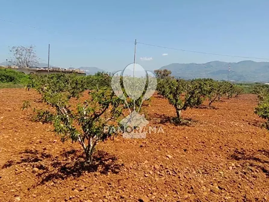 Immagine 8 di Terreno in vendita  in Via Adda Partinico a Partinico