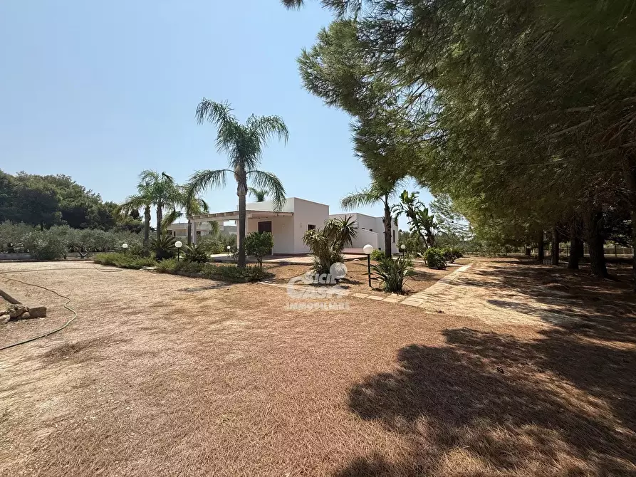 Immagine 15 di Terreno edificabile in vendita  a Marsala