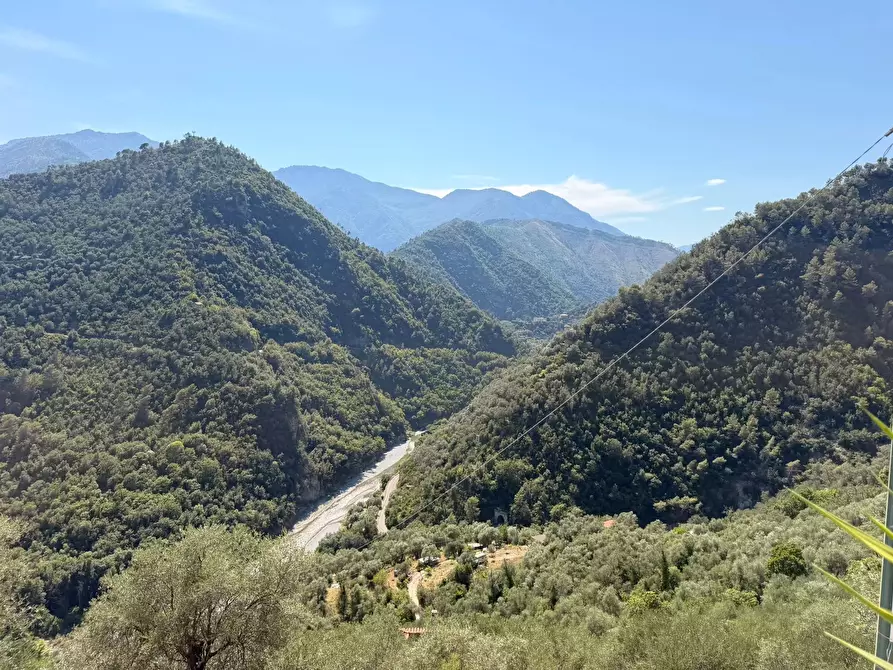 Immagine 13 di Terreno edificabile in vendita  a Airole