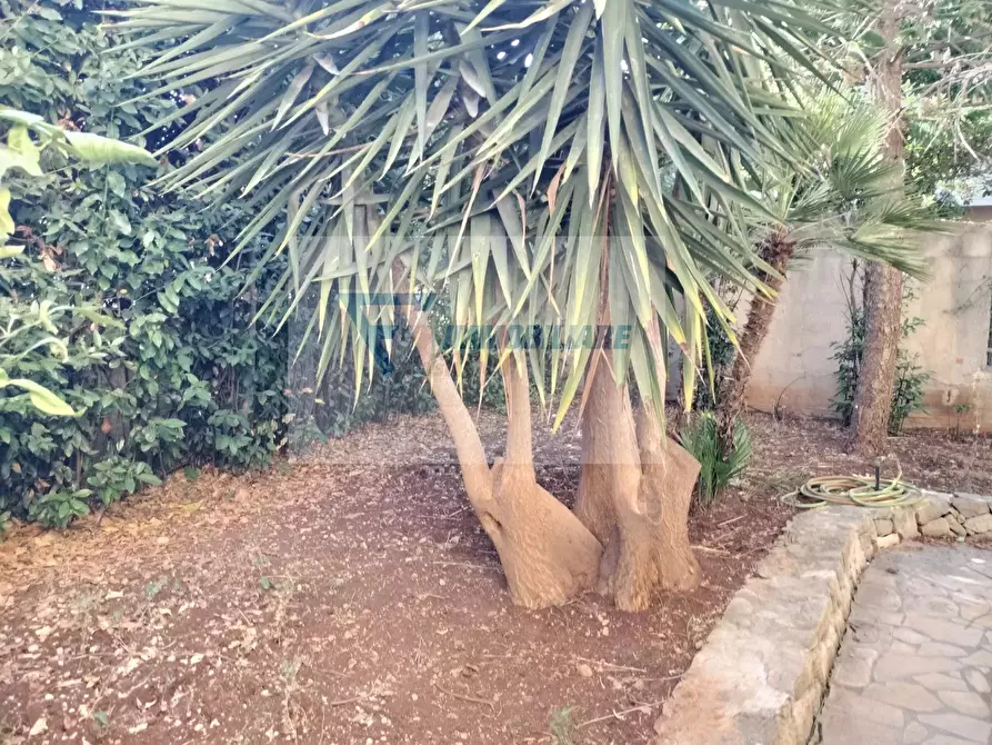 Immagine 13 di Terreno edificabile in vendita  in Via Acquaviva Platani a Siracusa