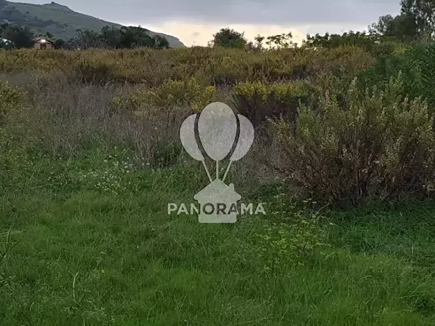 Immagine 9 di Terreno in vendita  in Rurale 14 a Partinico