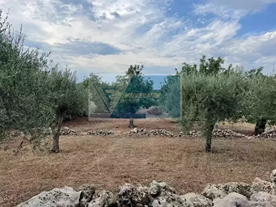 Immagine 6 di Terreno in vendita  in Contrada Trigona a Buccheri