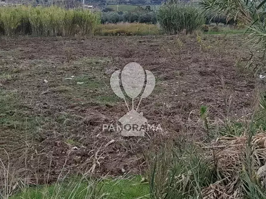 Immagine 4 di Terreno in vendita  in Rurale 14 a Partinico