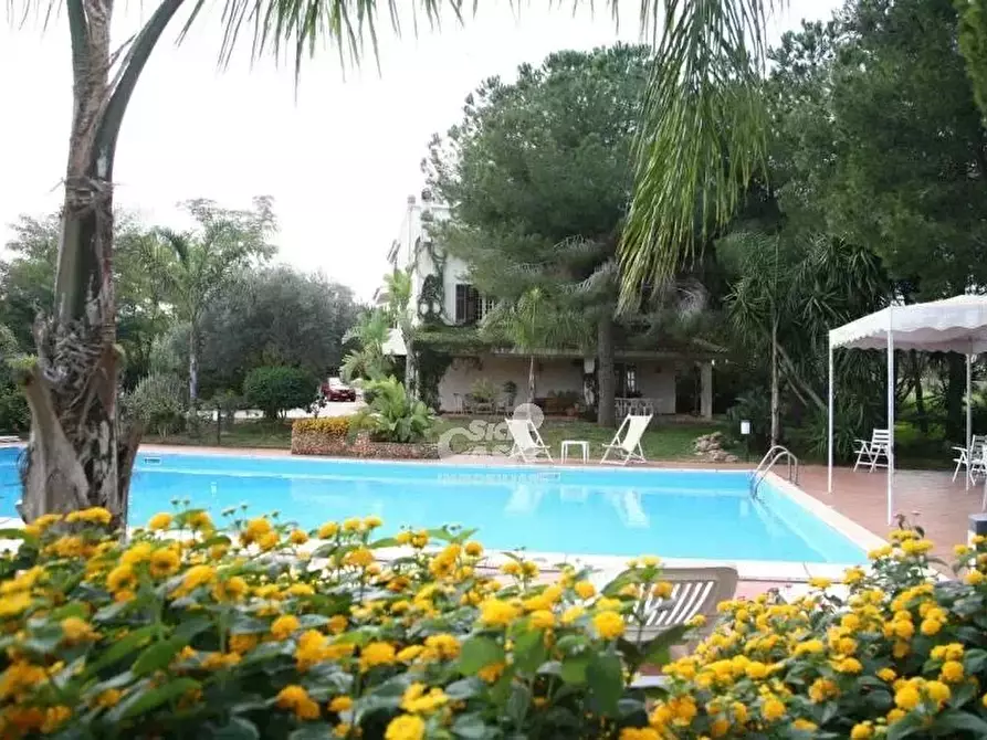 Immagine 60 di Terreno edificabile in vendita  a Marsala