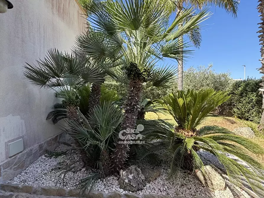 Immagine 5 di Terreno edificabile in vendita  a Marsala