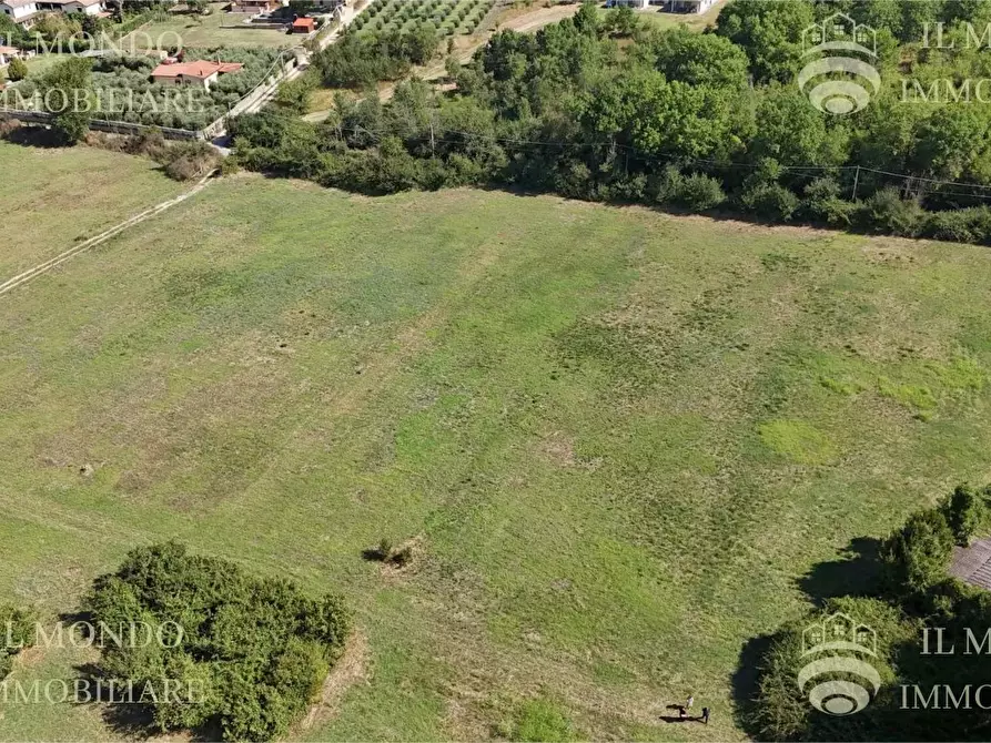 Immagine 6 di Terreno in vendita  in Località Albanetta a Palombara Sabina