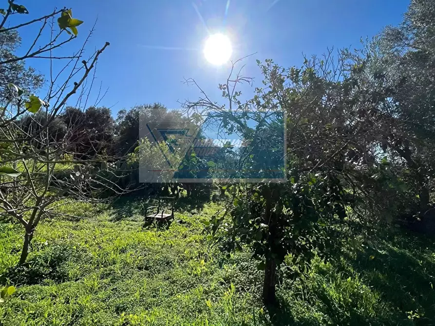 Immagine 7 di Terreno in vendita  in Trav. Mulino Marino a Siracusa