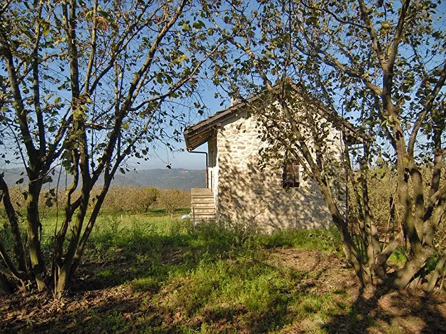 Immagine 16 di Terreno edificabile in vendita  a Albaretto Della Torre