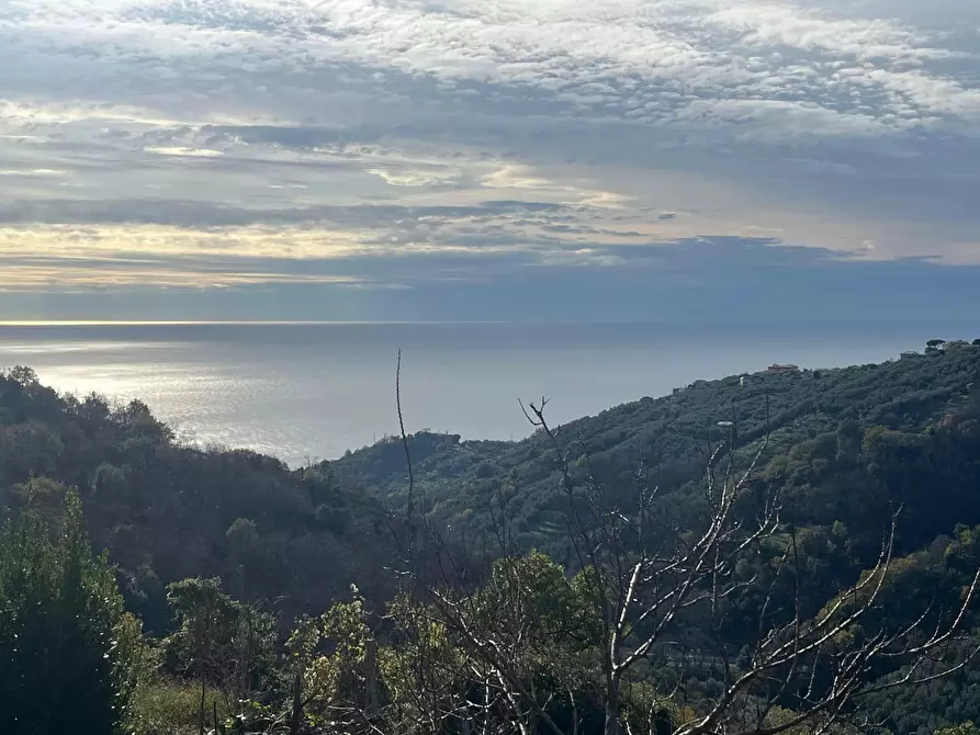 Immagine 8 di Terreno edificabile in vendita  in Sorlana a Lavagna