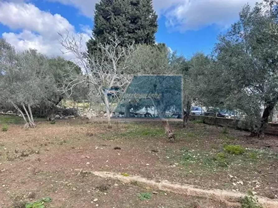 Immagine 4 di Terreno in vendita  in Viale Edoardo Garrone a Buccheri